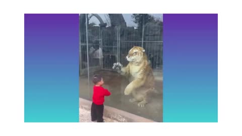 FUNNY KIDS WITH ANIMALS I SHORT VIDEO