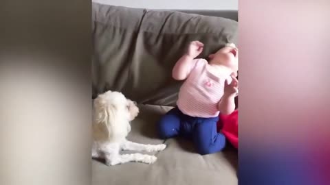 Dog Pushes Baby Down