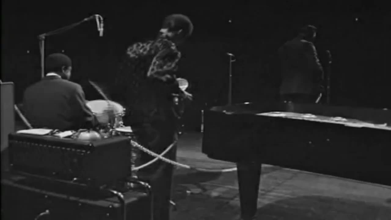 Muddy Waters - Train Fare Home Blues