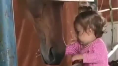 horse loves baby