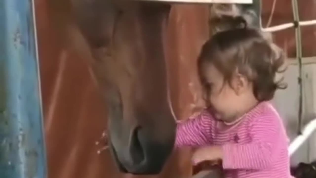 horse loves baby