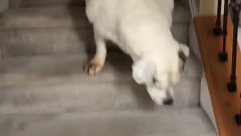 I'm tired going down the stairs