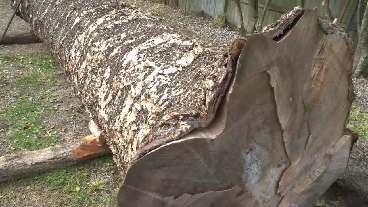 A full-time canoe building year condensed into eight minutes