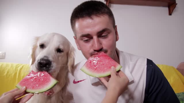 My Funny Dog and I Eat Watermelon