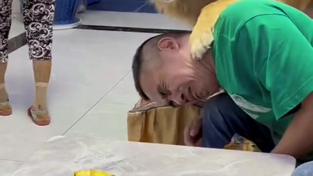 good boy,dog is the best friend of human