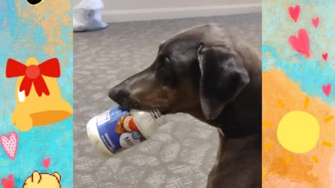 Likes that jar