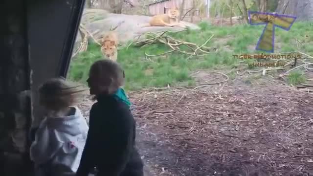 Funny KIDS and ZOO ANIMALS are WAY FUNNIER! - TRY NOT TO LAUGH