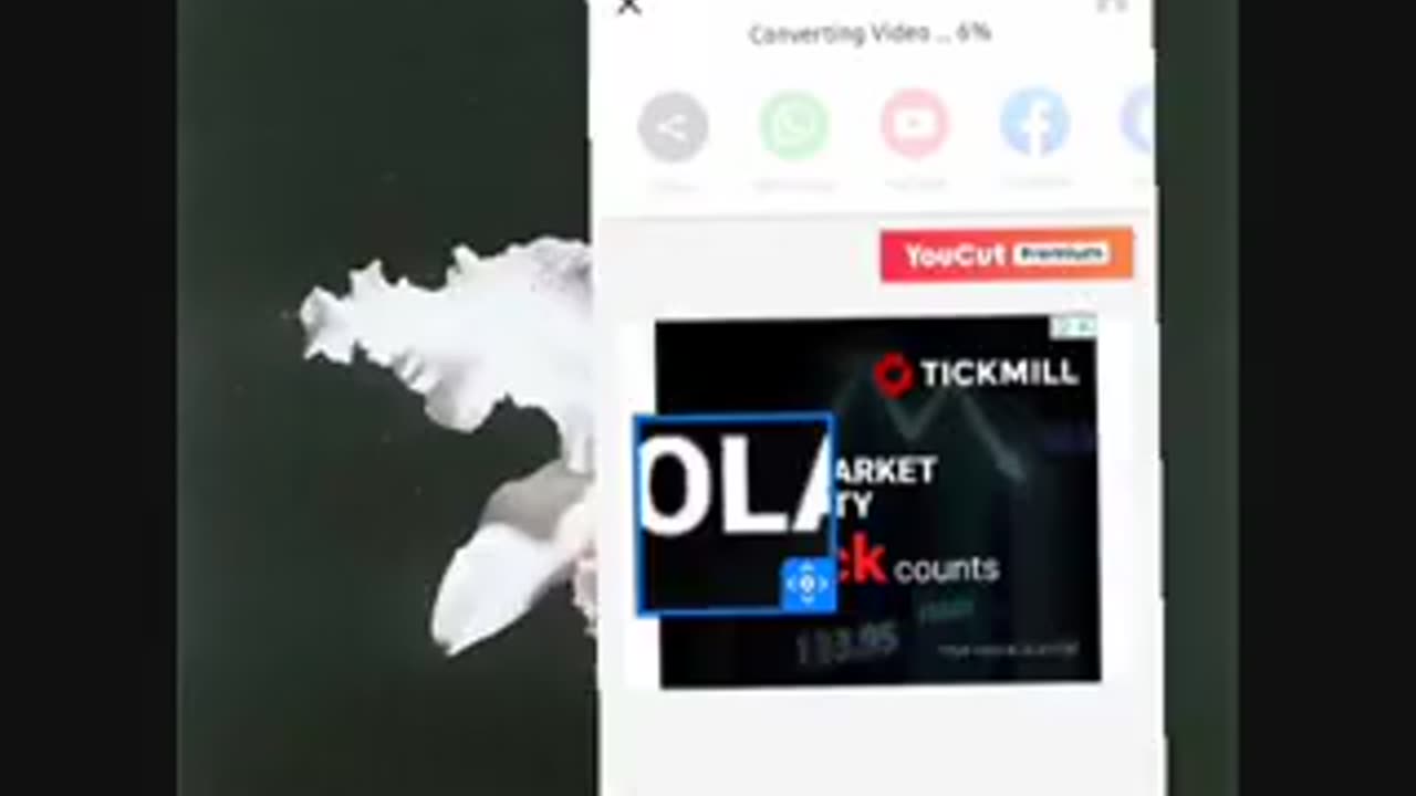 Salty leave