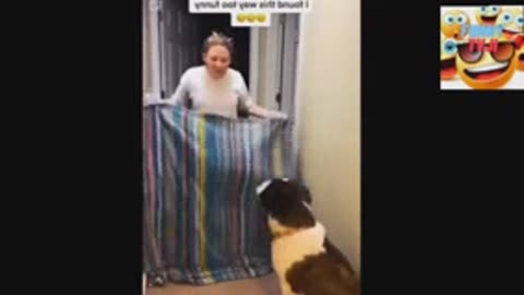 animal funniest video_2023_30
