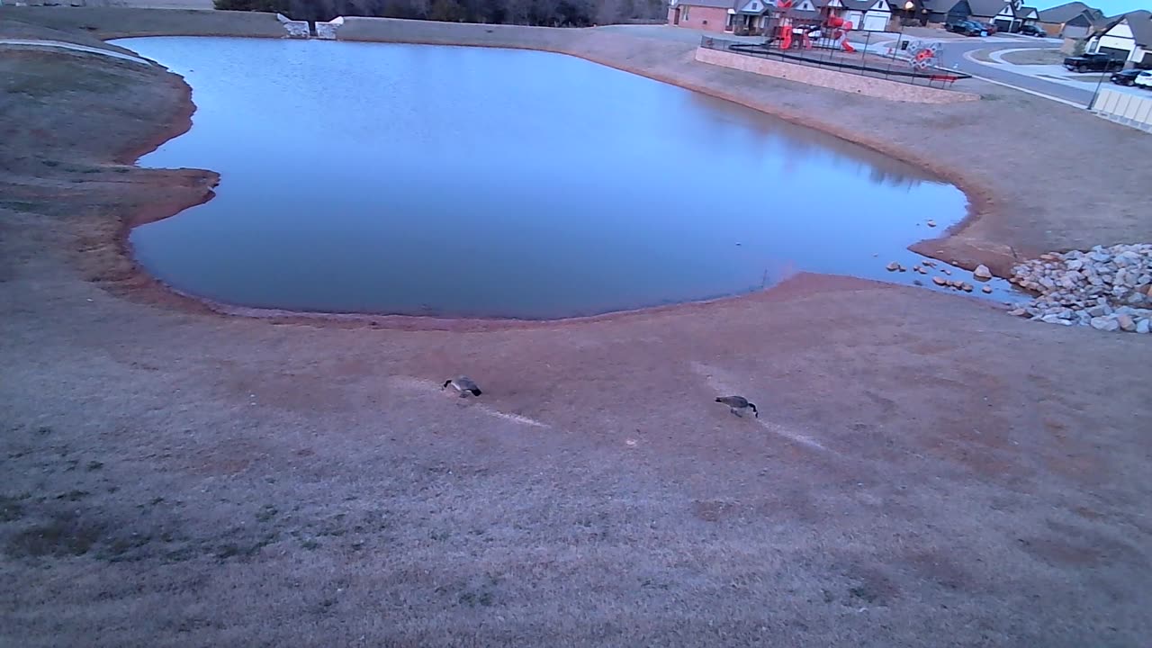The Pond