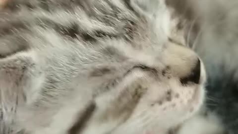 pinch the flesh
