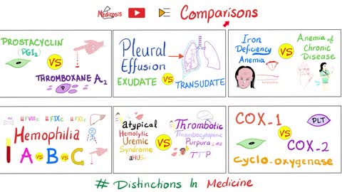 The Adrenal Cortex vs The Adrenal Medulla