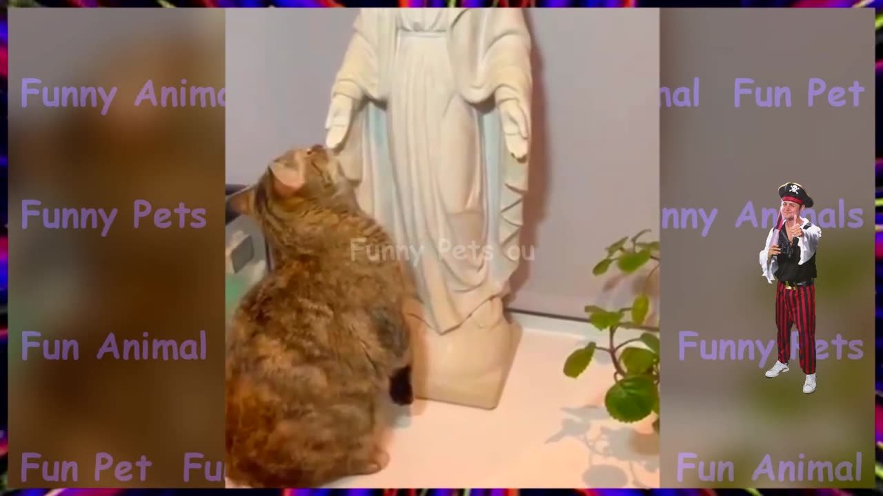 funny animals 2