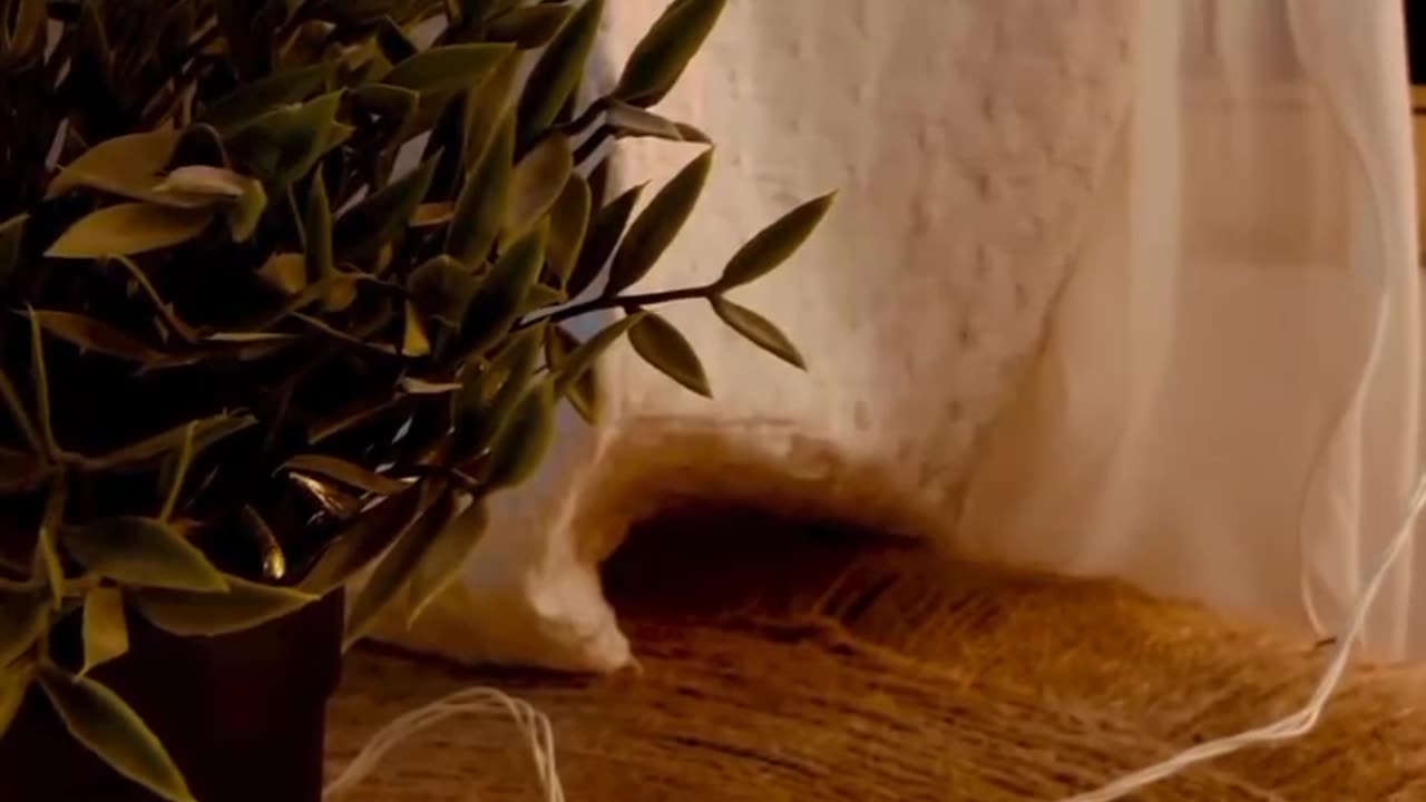 Aesthetic room