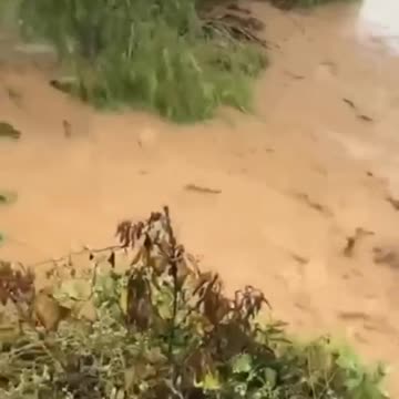 livestock farmers affected by flooding