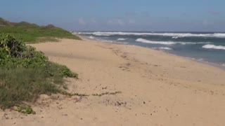 Waialua, HI — Camp Erdman Beach