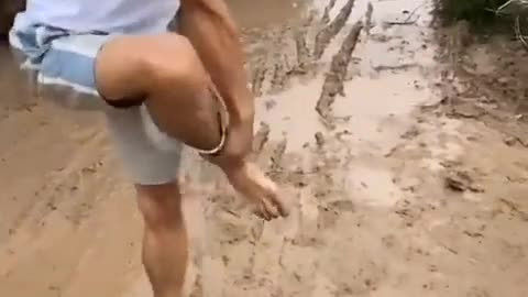 Best Funny Videos - Try to Not Laugh 😆😂🤣