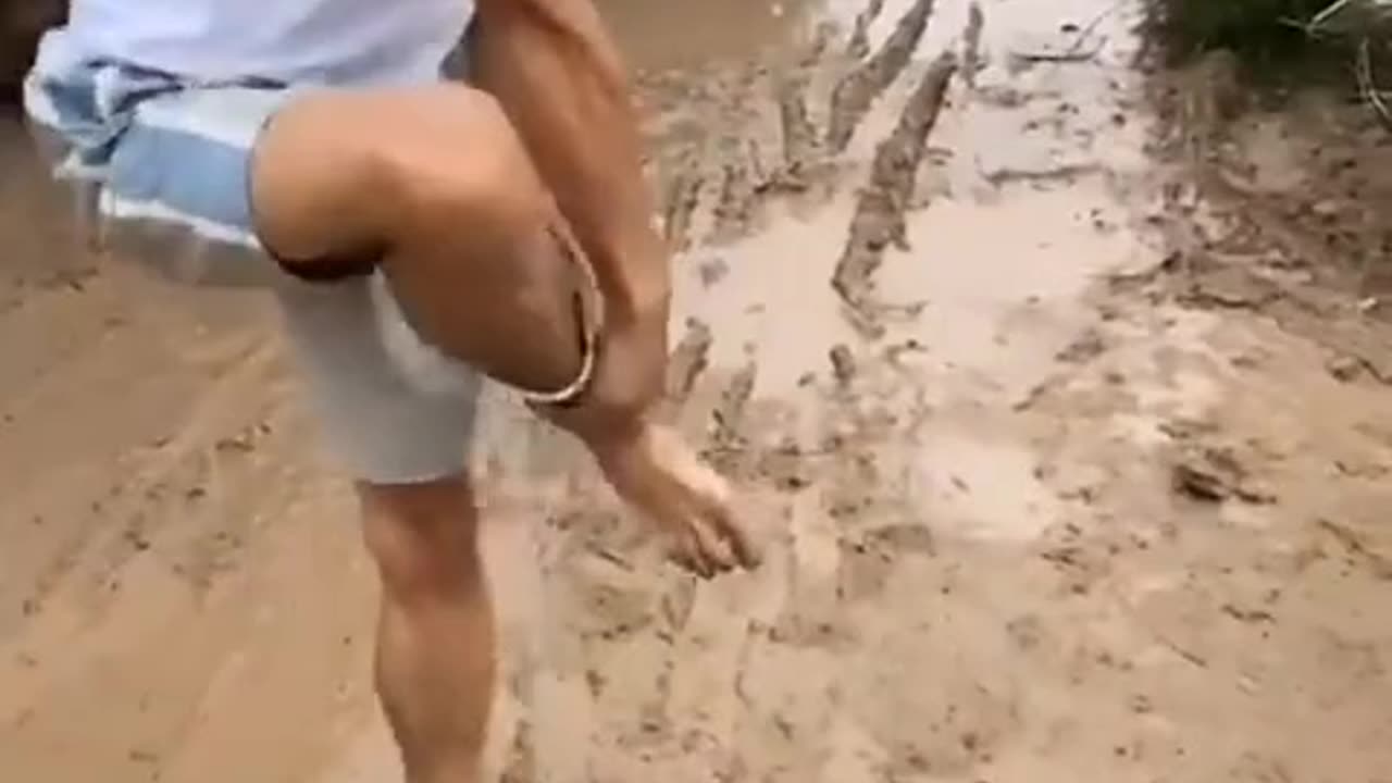 Best Funny Videos - Try to Not Laugh 😆😂🤣