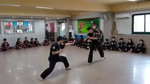 Hapkido