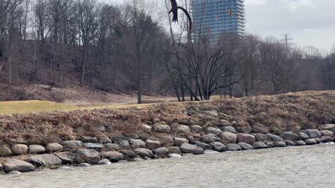 Belated Thank You for the 800+ followers 🙏👍😍