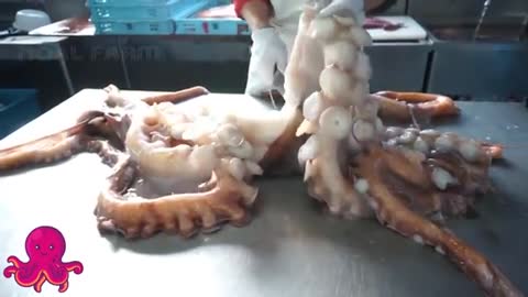 AMAZING GIANT OCTOPUS