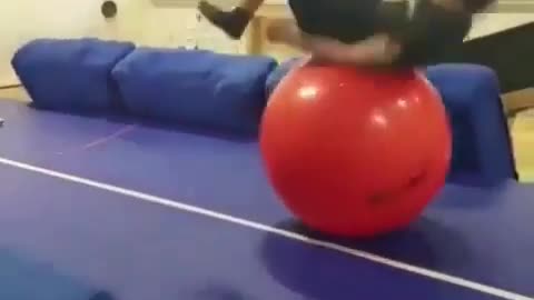 New Way to play yoga ball