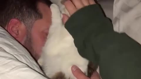 It is said that cats like to sleep with the opposite sex