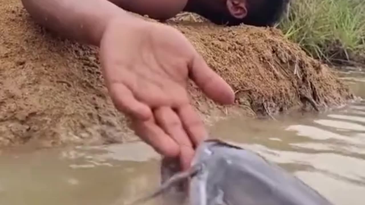 Funny Fish attack fisherman