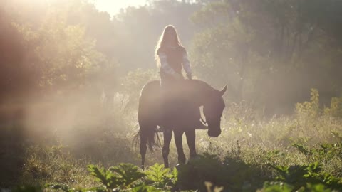 Young beautiful girl with long hair rides a horse on the edge of the forest at dawn