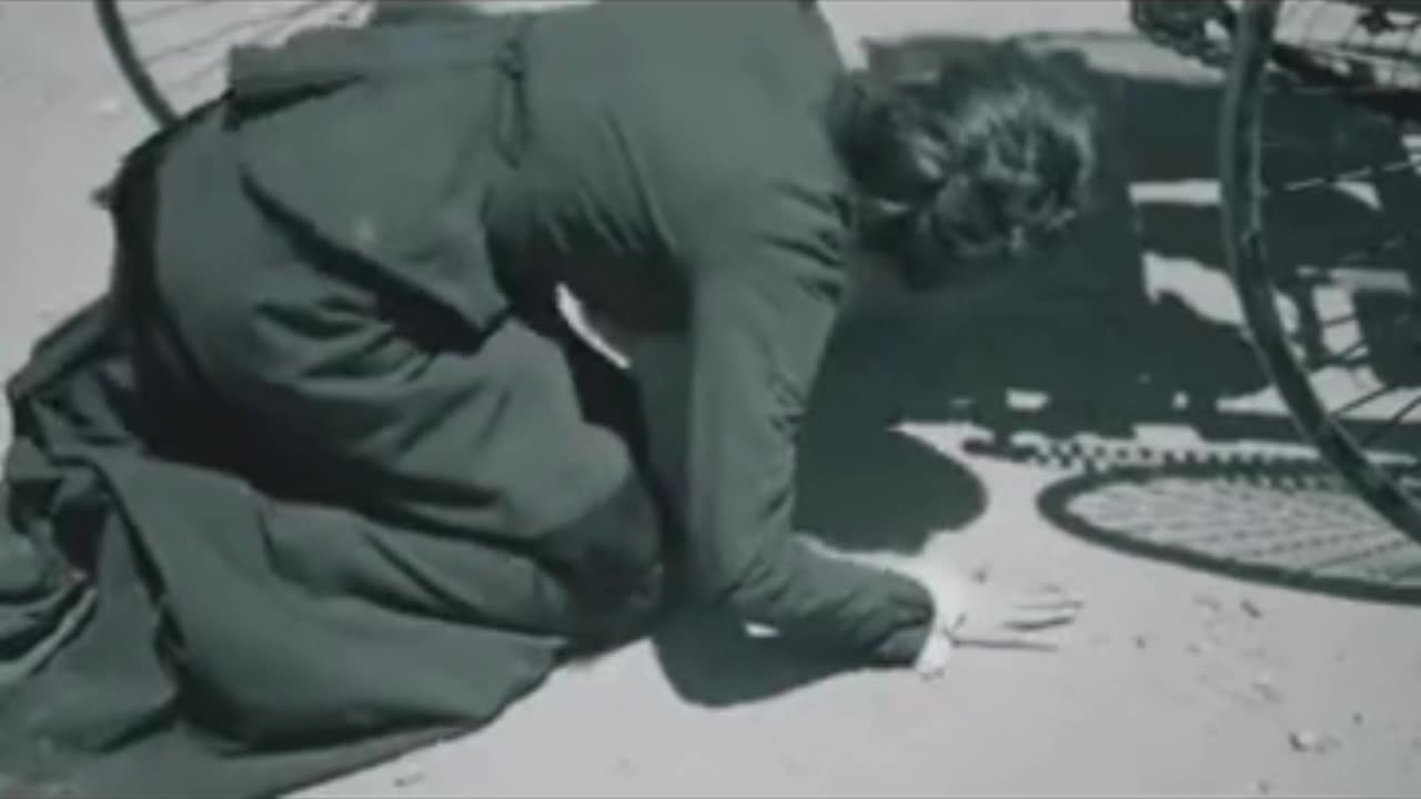 Bertha Benz (1888) - Publicidad