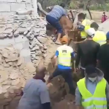 Rescue of a calf after 7 days caused by an earthquake