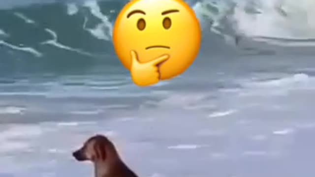 taking all his worries out at the sea