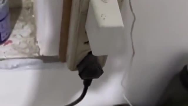 Would it hurt the fly