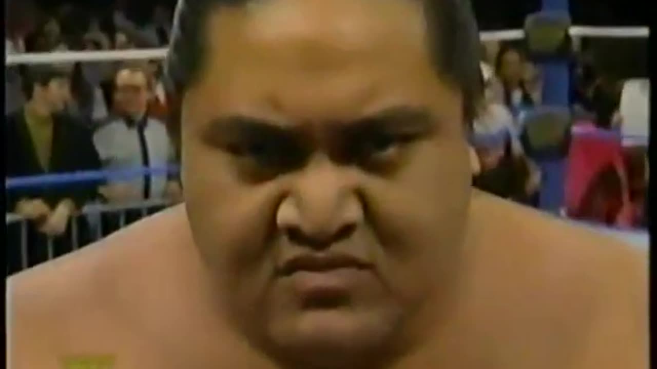 WWF Wrestling Challenge Apr 17 1994