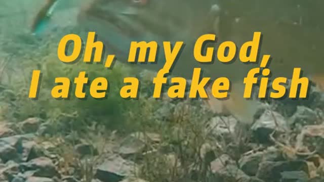 Oh,my God, I ate a fake fish