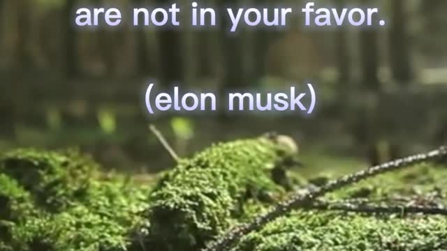 Motivational Quotes