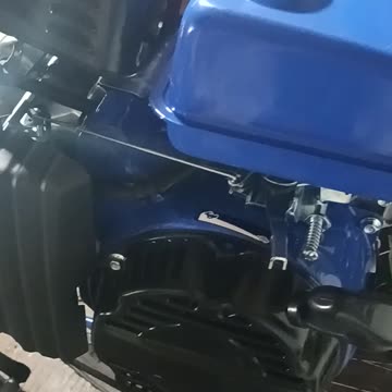 KITTENS AND BUILDING MOTORIZED BICYCLES