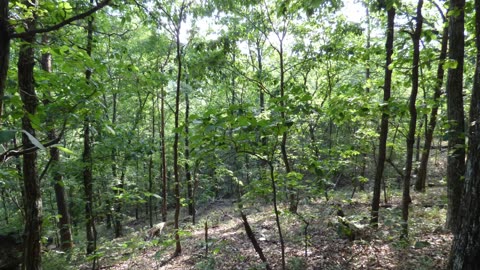 Oak Mountain State Park Blue Trail Hike 3. Slideshow.