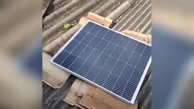 primeiro sistema solar . placa solar 100w ligando a casa toda