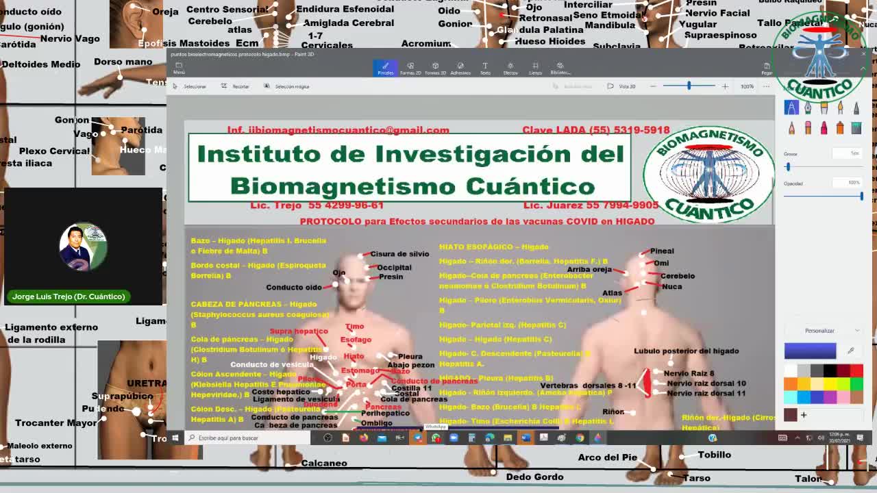 Protocolo para efectos secundarios de vacuna en Hígado (Biomagnetismo Cuántico)