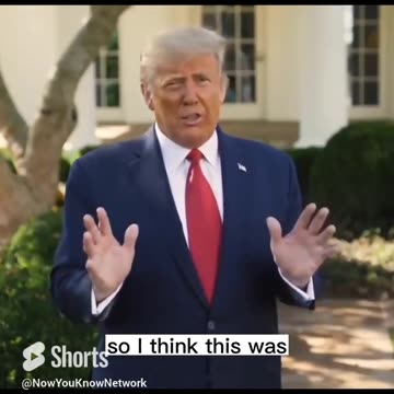 Trump on Legalization