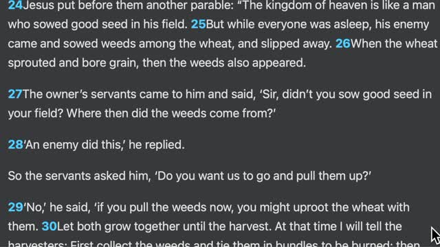 Matthew 13