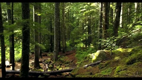 Nature
