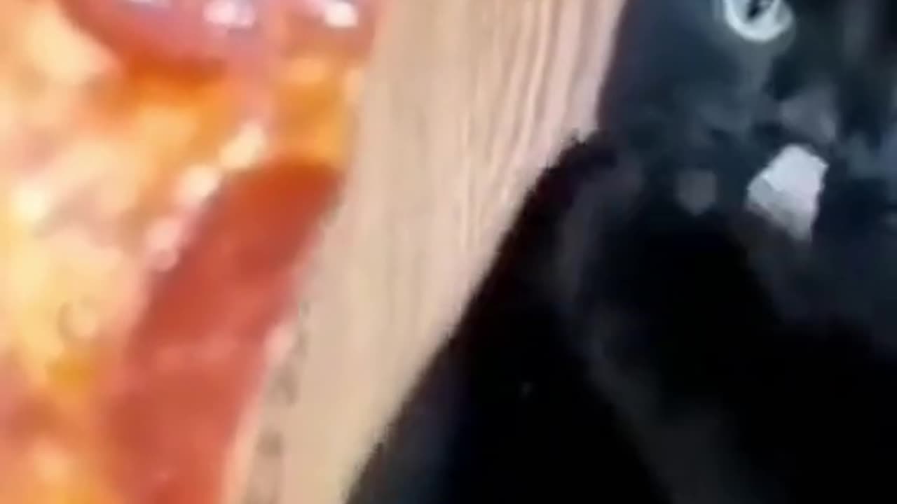 try not to laugh