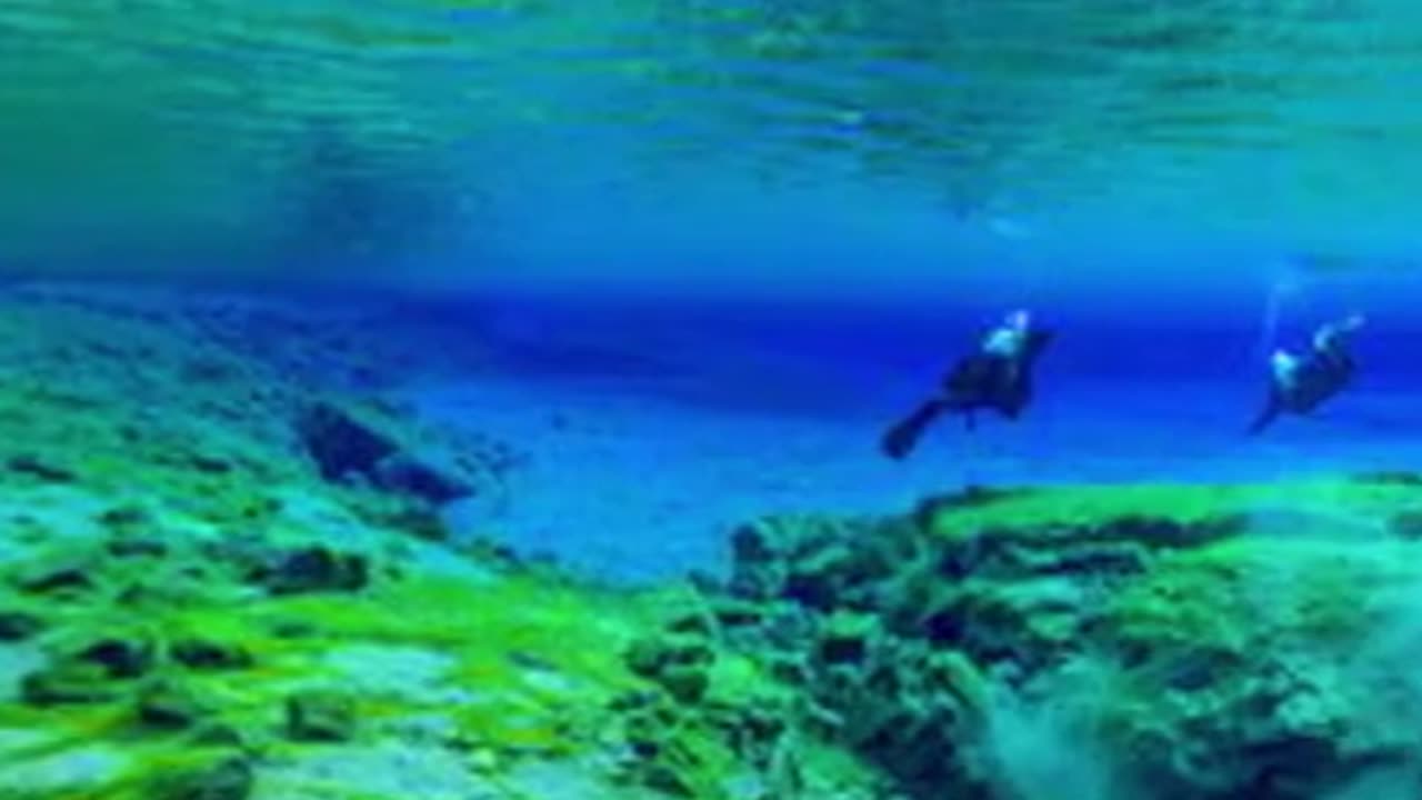 Did you know in Iceland....