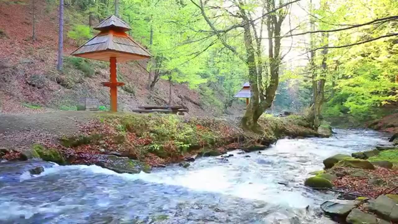 Meditation Beauty OF Nature Videos with surface water flowing