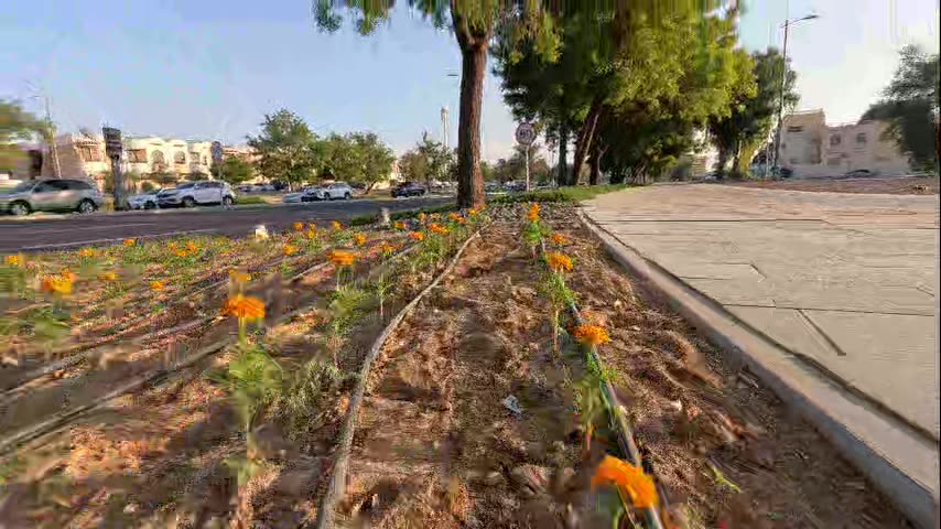 walking beside the flowers 💐 #walking