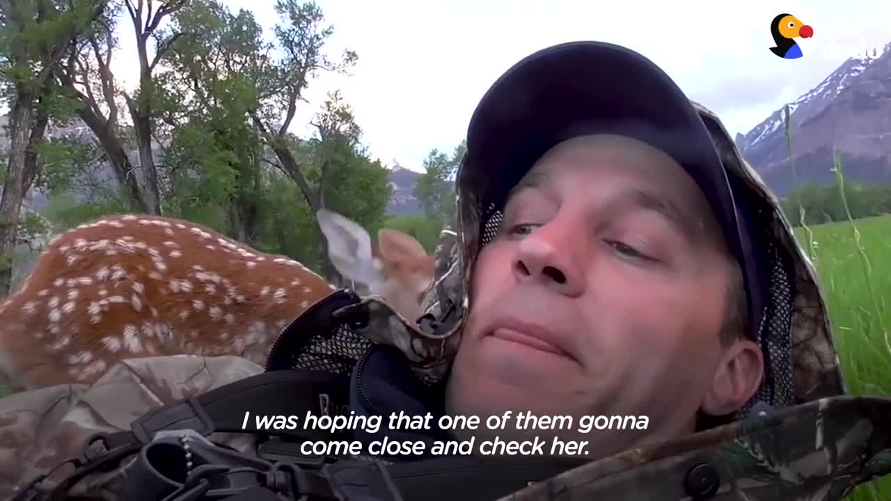 Injured Fawn Deer In Rocky Mountains Gets Adopted | The Dodo Faith = Restored