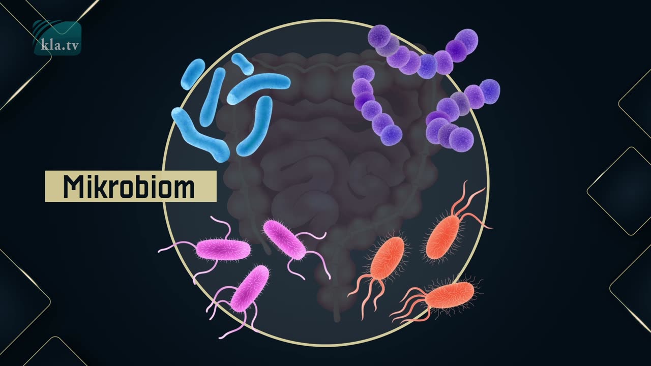 Folgt auf Covid-19 eine Tuberkulosepandemie... - und Antibiotika helfen nicht mehr?