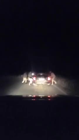 Video is not recommended for sensitive people❗️